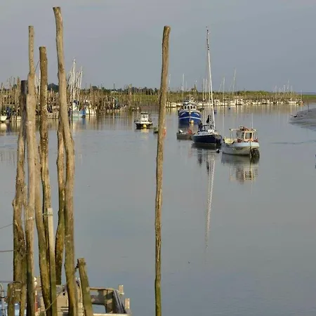 Maison 6 Couchages Pres Centre-ville Sur Mer, Animaux Admis - Fr-1-194-430 度假居 滨海拉福特