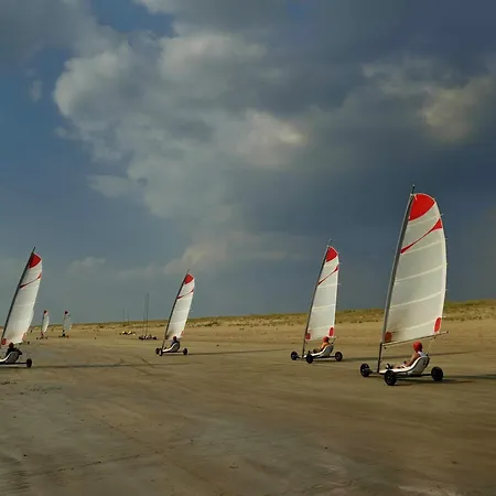 Maison 6 Couchages Pres Centre-ville Sur Mer, Animaux Admis - Fr-1-194-430